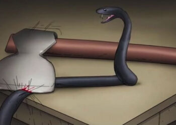 Змијата и секирата