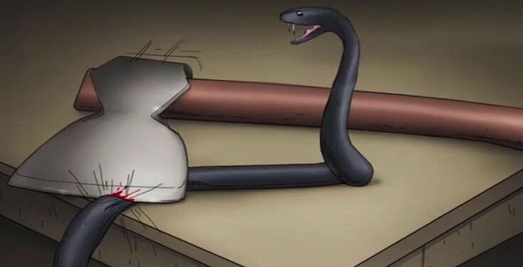 Змијата и секирата