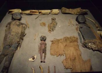 Живот на најсувото место на Земјата