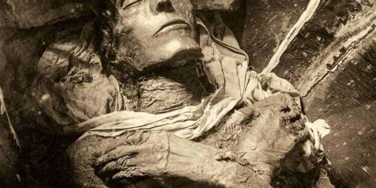 Повелете вечер во шест ќе одвиткуваме мумија R.S.V.P.