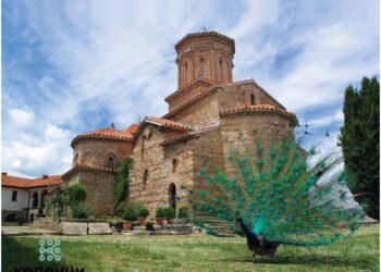 Паунот во Свети Наум Охридски