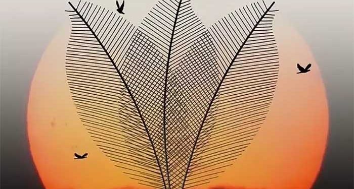 Работи кои мислевме дека ги знаеме но не биле баш така