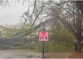 Торнадо во градот на џезот