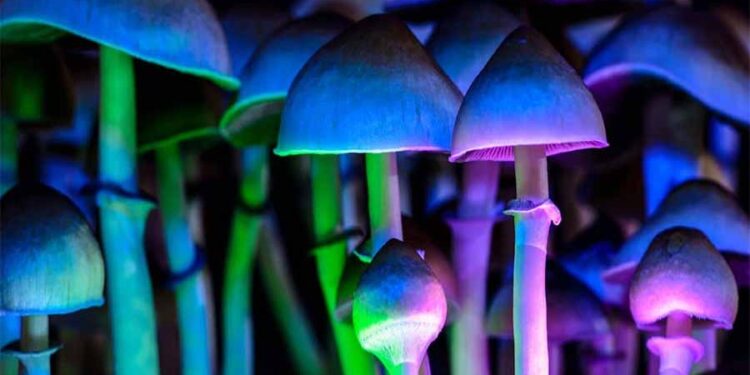 Халуциногените печурки лекуваат депресија