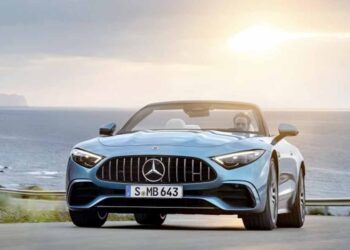 За љубителите на „мечки“ на патот – галерија од сите агли