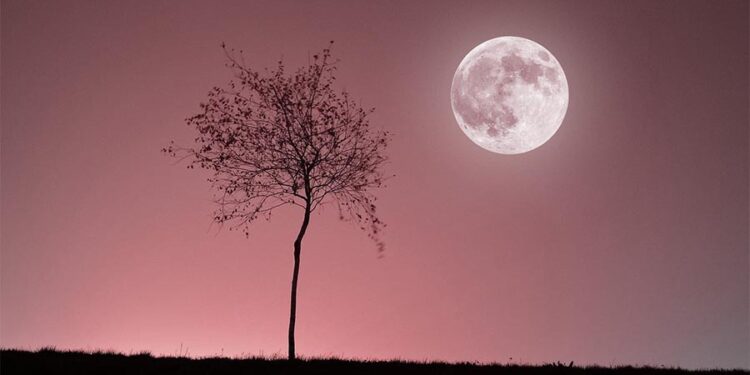 Априлска розова месечина