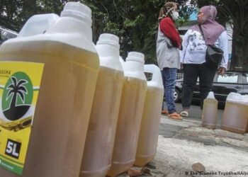 Индонезија ќе предизвика недостиг на масло и на Далечниот Исток