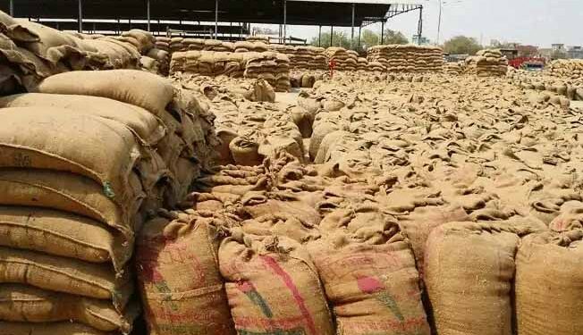 Бум на извозот на пченица од Индија