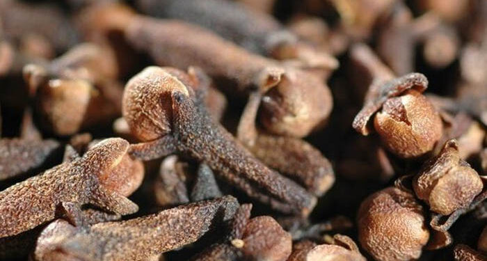 Каранфилче за здравје