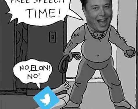 Маск го ослободи Твитер од Твитер