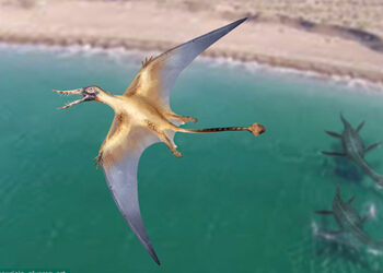 Гробишта на Јура Парк во Чиле