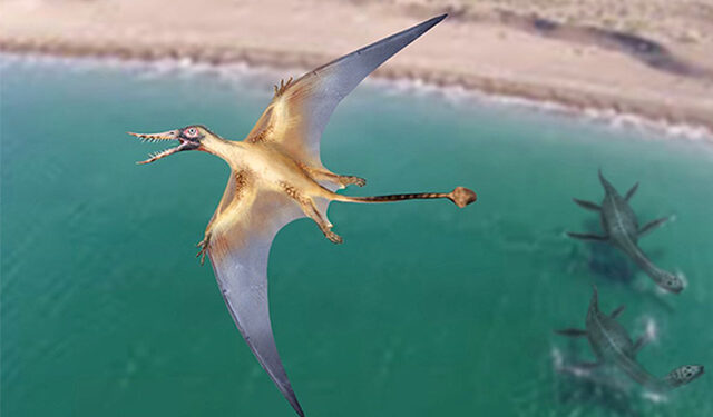 Гробишта на Јура Парк во Чиле