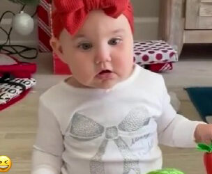 Двобој – бебе и кактус