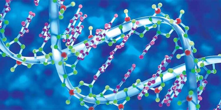 Целосно дешифриран човечки геном?