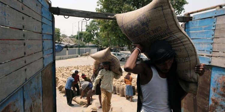 Индија го сопре извозот на житарици – се очекува глобален ценовен бум на лебот?