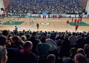 Вака се навива, ова е Битола ! (видео)