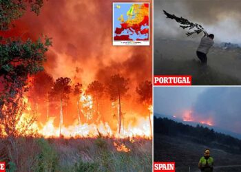 Жешкиот бран ги разгорува пожарите во јужна Европа
