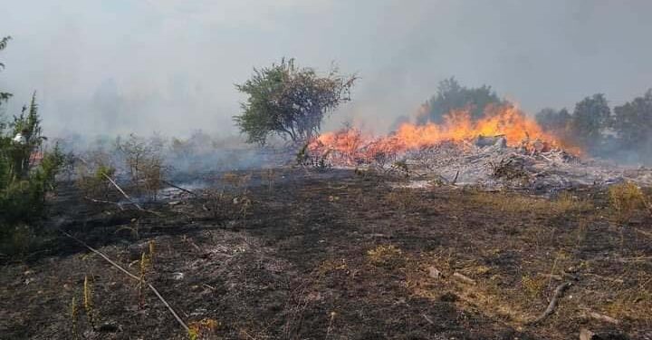 Ноќта ќе го одложи гаснењето на пожарот на дабова шума во Беровско?