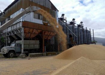 Русија ќе го одблокира извозот на украинско жито