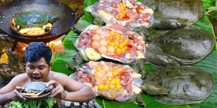 Вухан пак ? Не е корона, колера е – не е лилјак, желка е