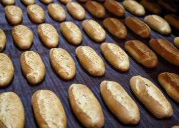 Светот останува без леб ?