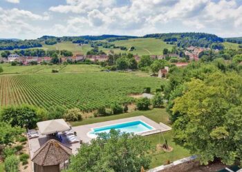 Ал открива непријавени базени во Францијa