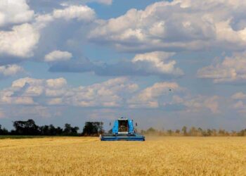 Украинското жито тргна накај светот