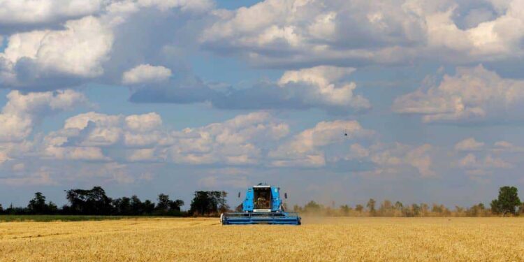 Украинското жито тргна накај светот
