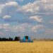Украинското жито тргна накај светот