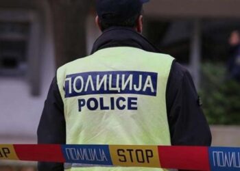 Приведена кавадарчанката за свирепото убиствo