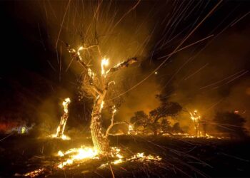 Пожарите и ПМ 2,5 нова закана за чистиот воздух