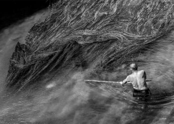 Македонец победи со еко-фотографија во Холандија