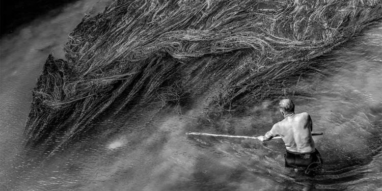 Македонец победи со еко-фотографија во Холандија