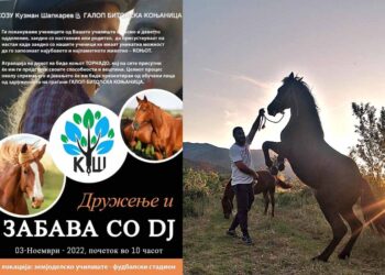 Битола нема аеродром, ама нема ни хиподром