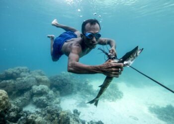 Индонезиско племе со супермоќ: 60 проценти од времето можат да бидат под вода