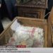 Канонизација на Светата Преподобномаченичка Стефанида Битолско – Скадарска (видео)
