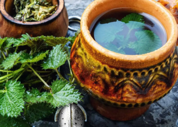 КОПРИВА: ПРИРОДЕН ПРОЧИСТУВАЧ НА ОРГАНИЗМОТ